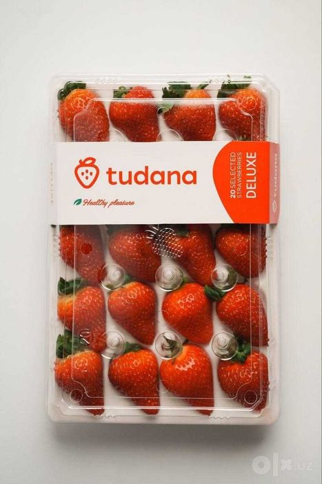 Tudana premium qulupnay | Yirik va shirin | Ulgurji va chakana
