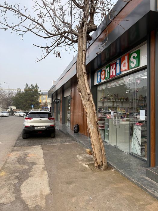 Бино Срочно Сотилади