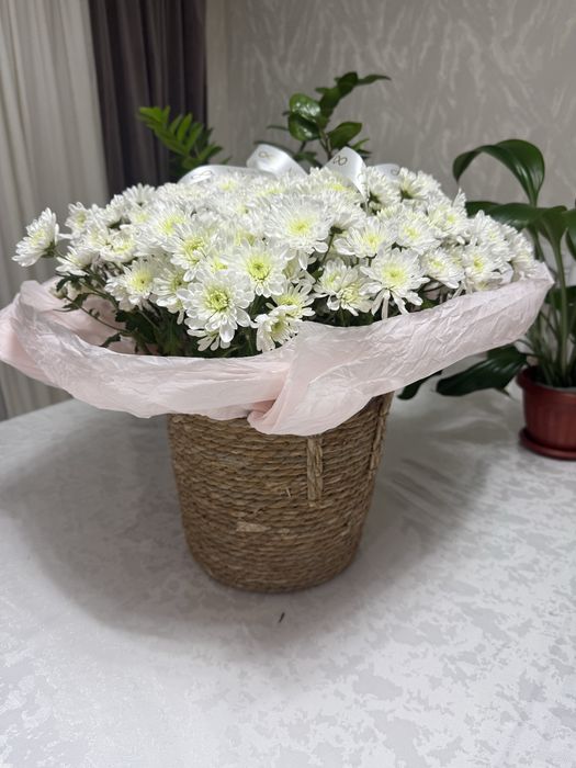 Цветы в хорошем состояний