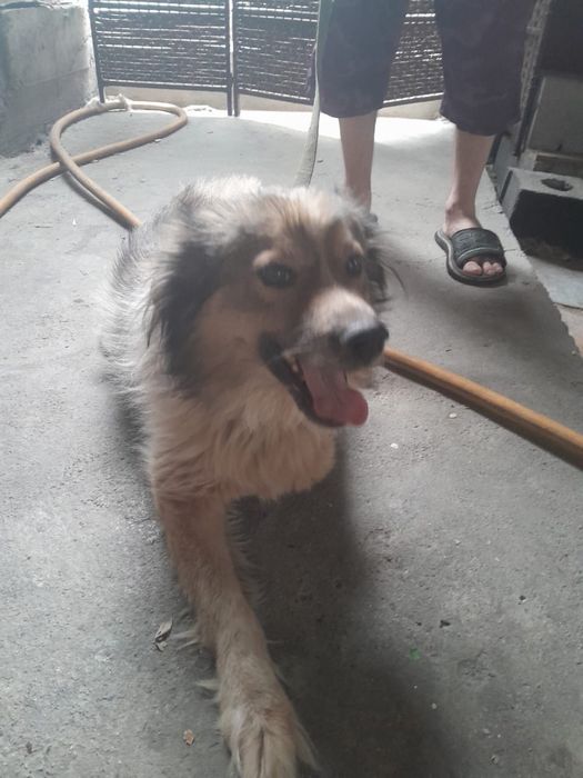 Малышу нужен дом