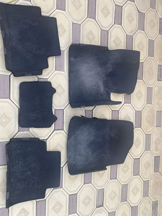 Ева полики на туксон 2021