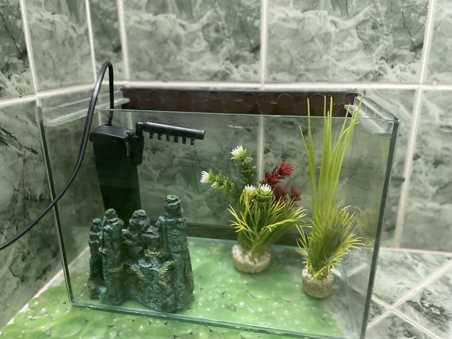 Аквариум за риби