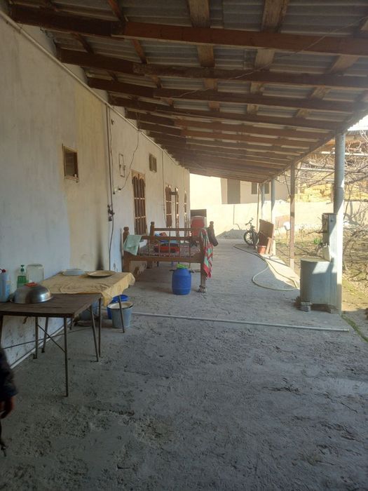 Shahrisabz markazidan xovli