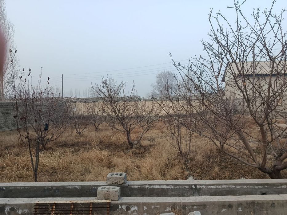 Uy sotilar Fargona Ozbekiston tumani