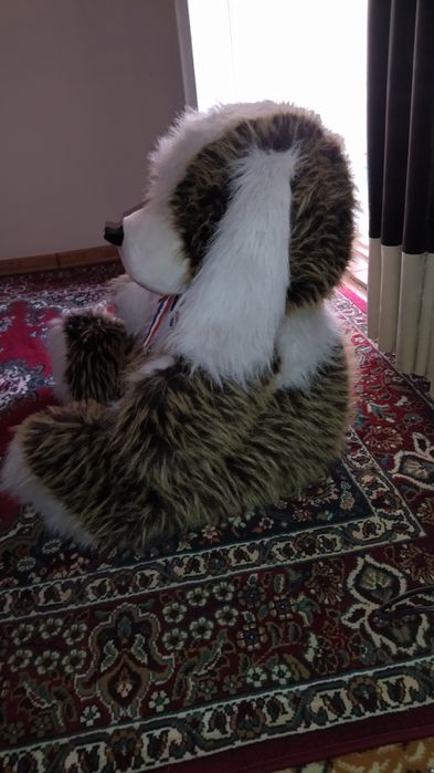 Oʻyinchoq kuchukcha