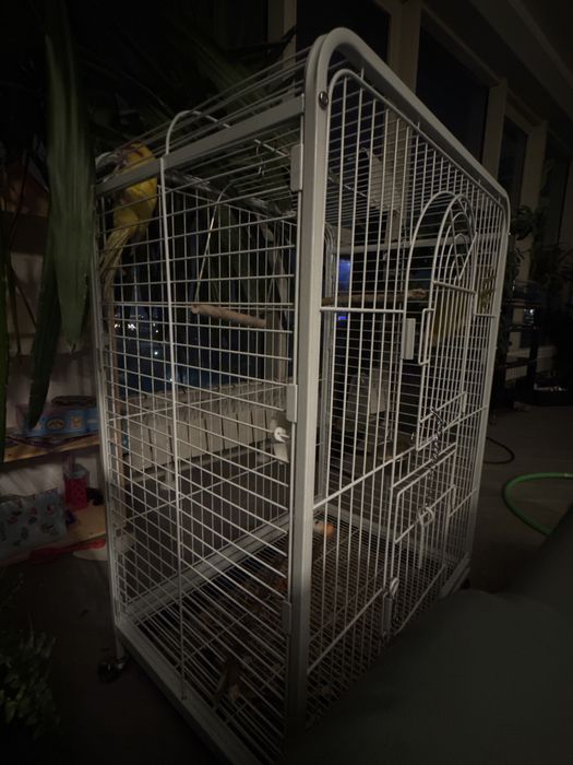 Клетка с попугаями