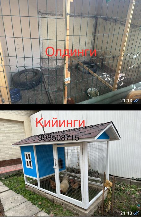 Катак хонна тавуклар учун