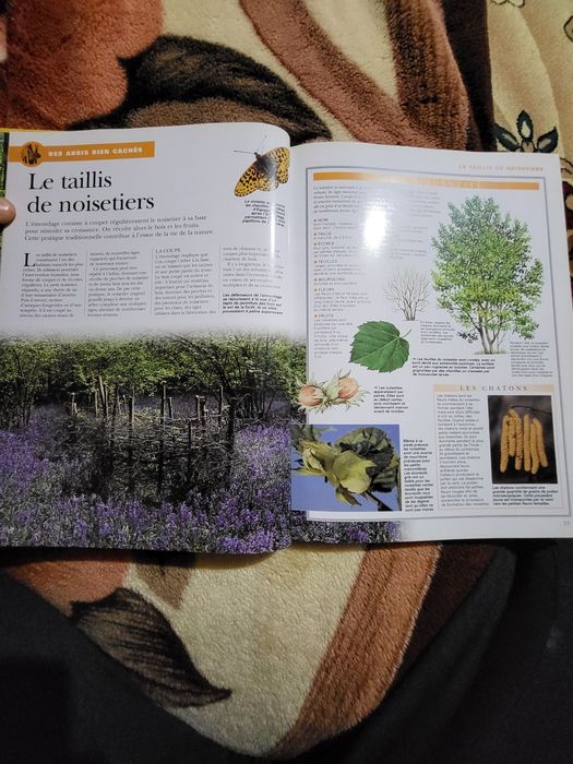 Carte ilustrată „La vie cachée des sous-bois” – Éditions Atlas (2001)
