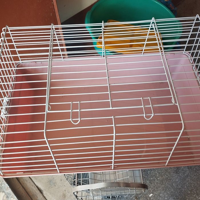 Клетки две штуки,для кроликов и попугаев.