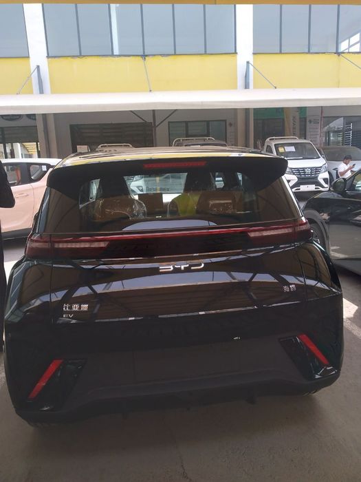 BYA seagull2025 versiya