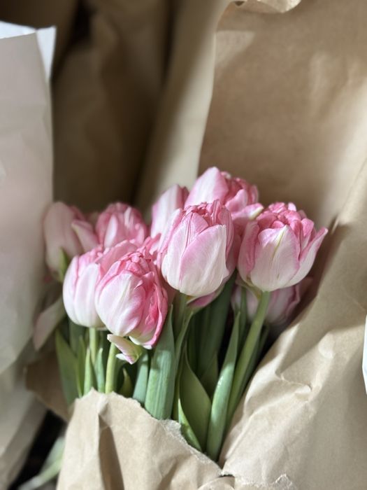 Продам тюльпаны, разный сорт