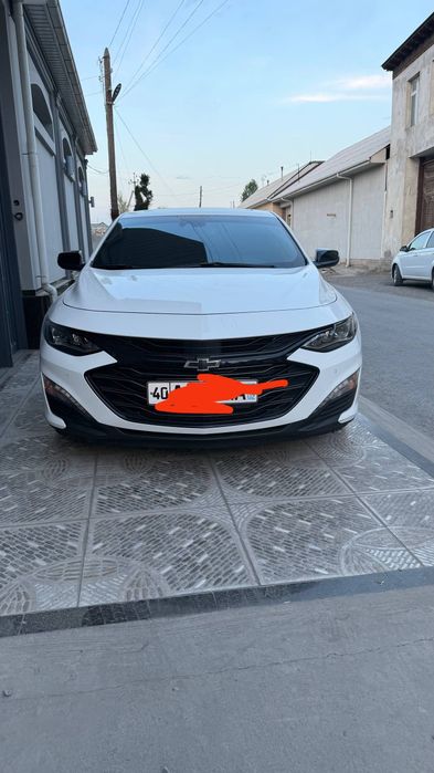 Malibu 2 xl tozza