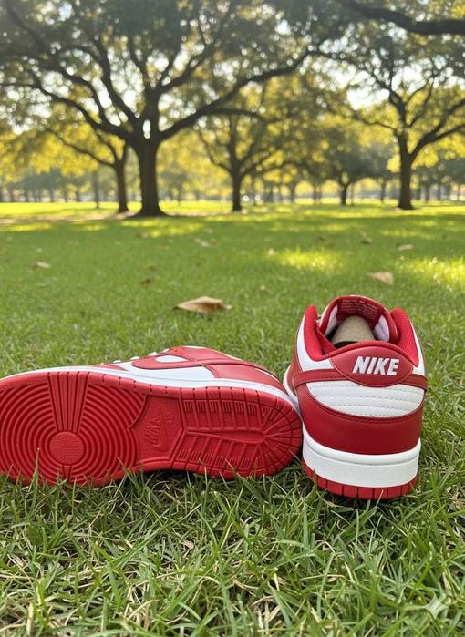 Adidasi Nike Dunk Red - Sneakersi Fete Baieti - Premium