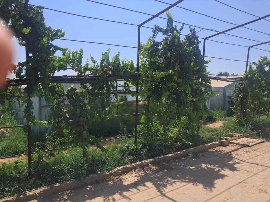 Ер сотилади Теплицаси бн 64 сотих