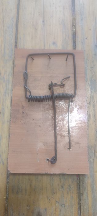 Крысоловки продам