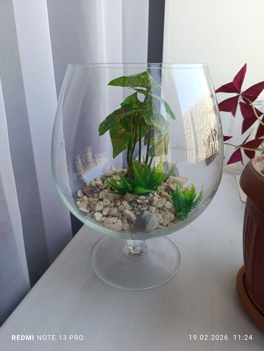 Аквариум для рыбок 3,5 литра