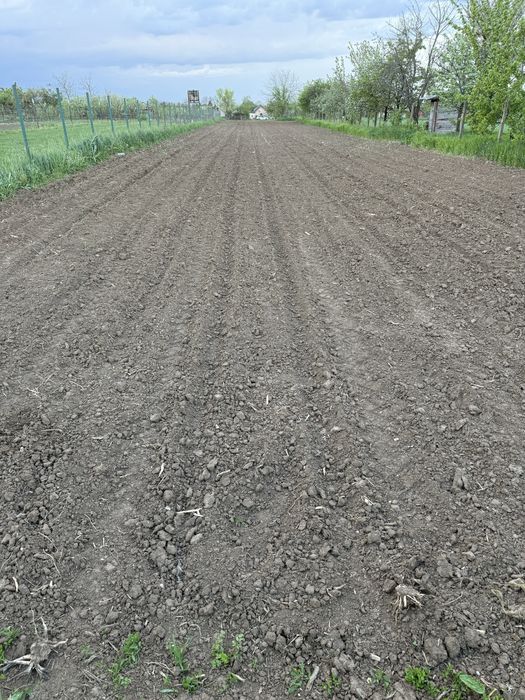 Teren 12 ari . Zona blocurile ANL