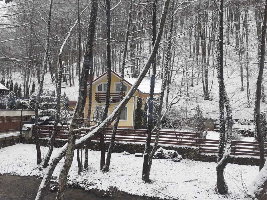 Cabana de închiriat de Craciun, e rezervată de revelion