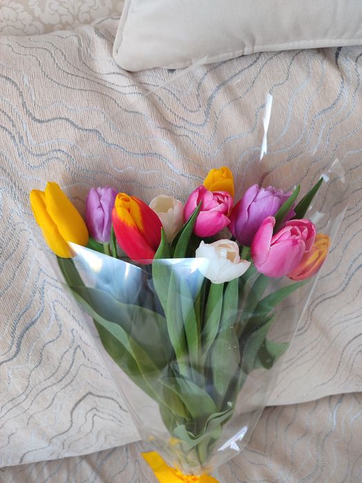 Продам тюльпаны по скидке