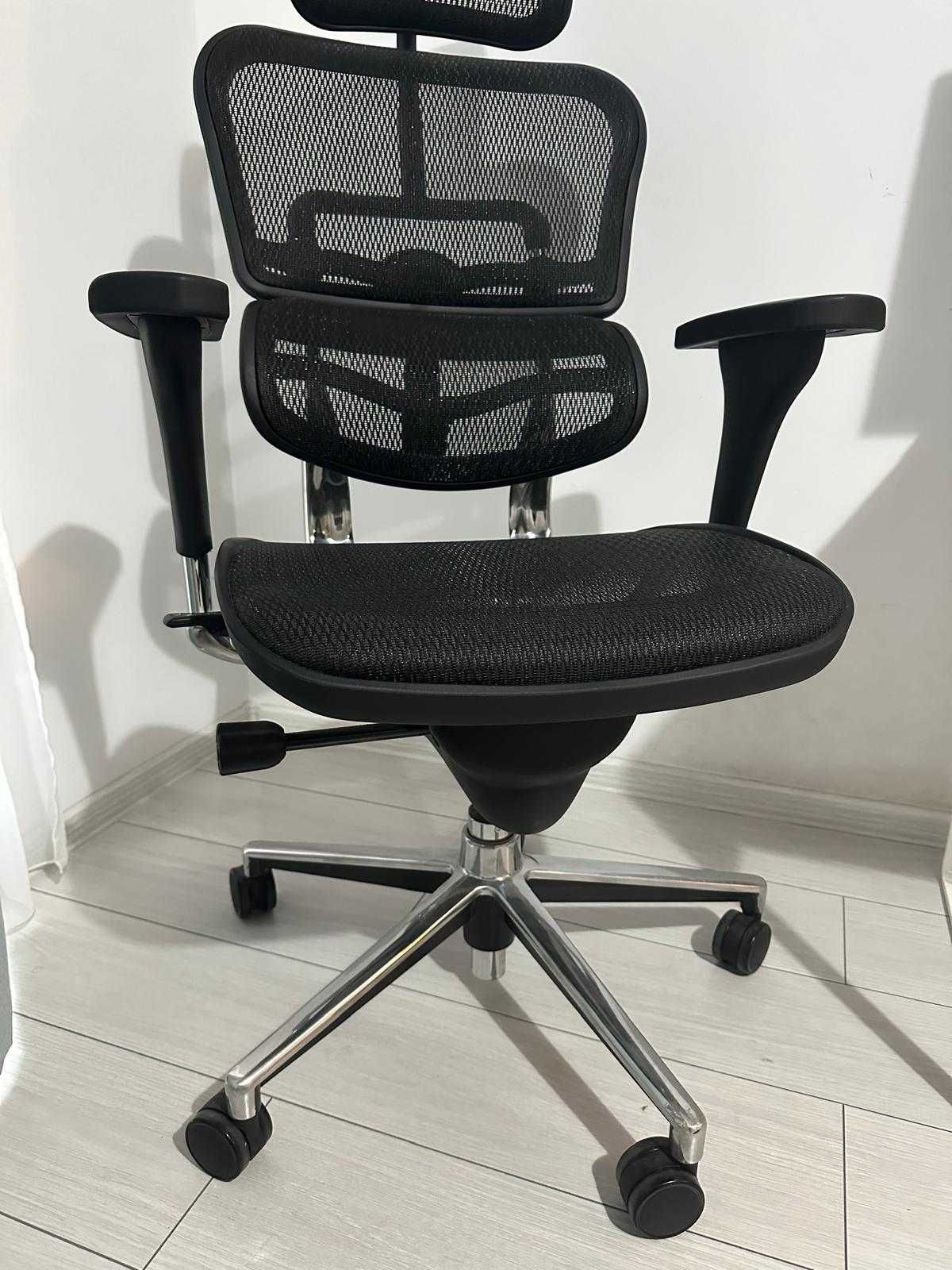 Scaun Ergonomic Ergohuman V1 Classic Plus W Black Mesh Bucuresti Sectorul 6 OLX.ro