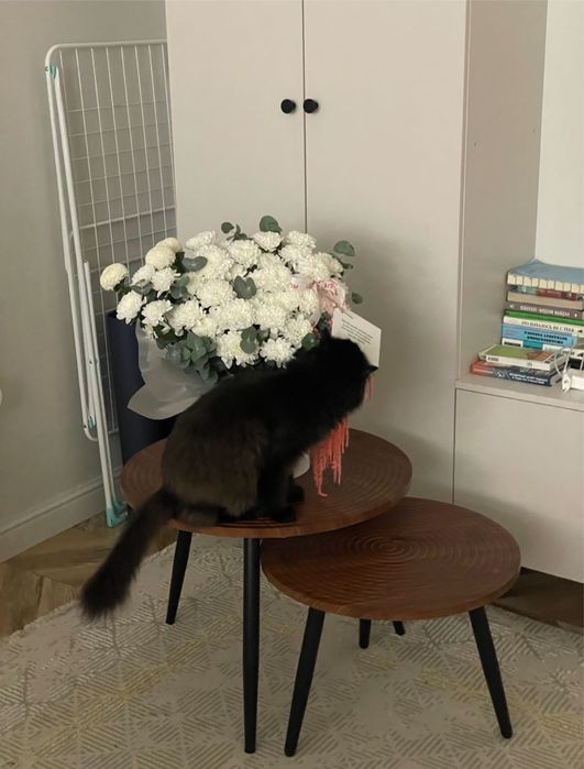 Продам 3 картины и ковер