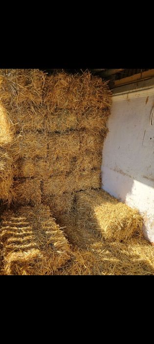 Baloți de paie de grâu