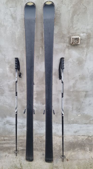 Schiuri Salomon Verse 500