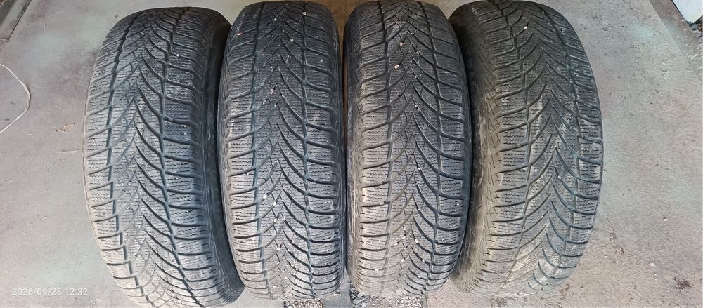Зима Goodyear 195/65R15