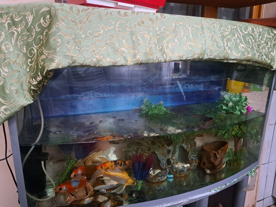 Аквариум сотилади