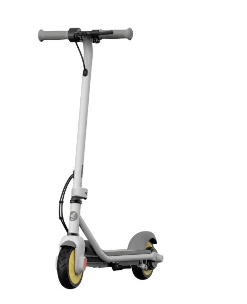 электронный сомокад ninebot