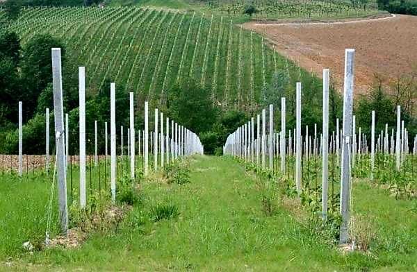 Stalpi Spalieri si garduri ornamentale din beton pentru imprejmuiri