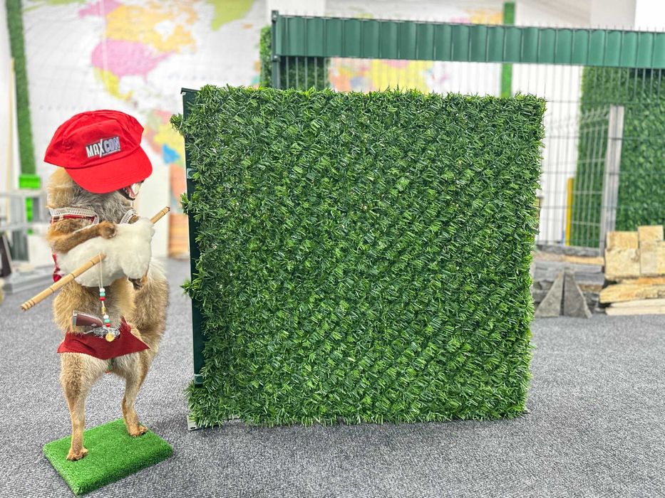 Мрежа с декорация - Купи на изплащане с ТБИ - доставка за 1 ден