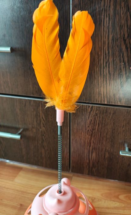 Jucărie pentru pisici