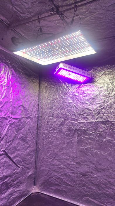 гроу бокс все комплект