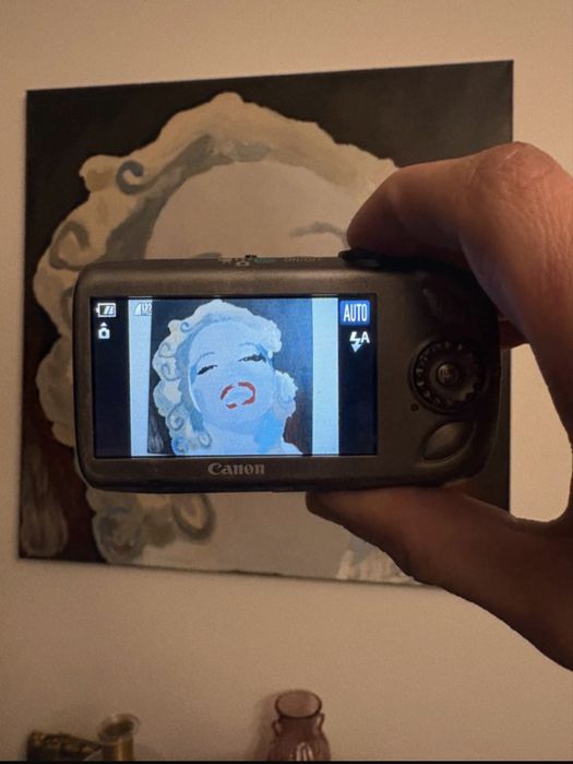 Aparat foto Canon PowerShot SD960 IS