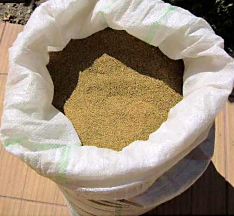 Sămânță de lucerna Letizia