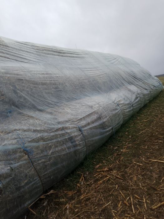 Vînd baloți de trifoi