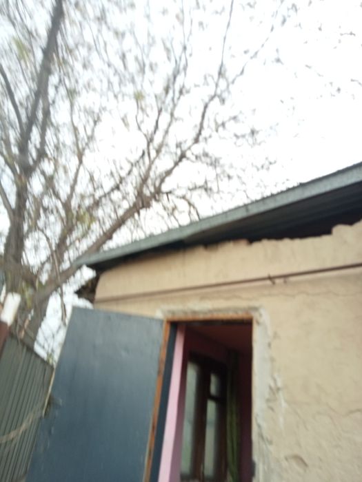 Сдам времянку боролдай