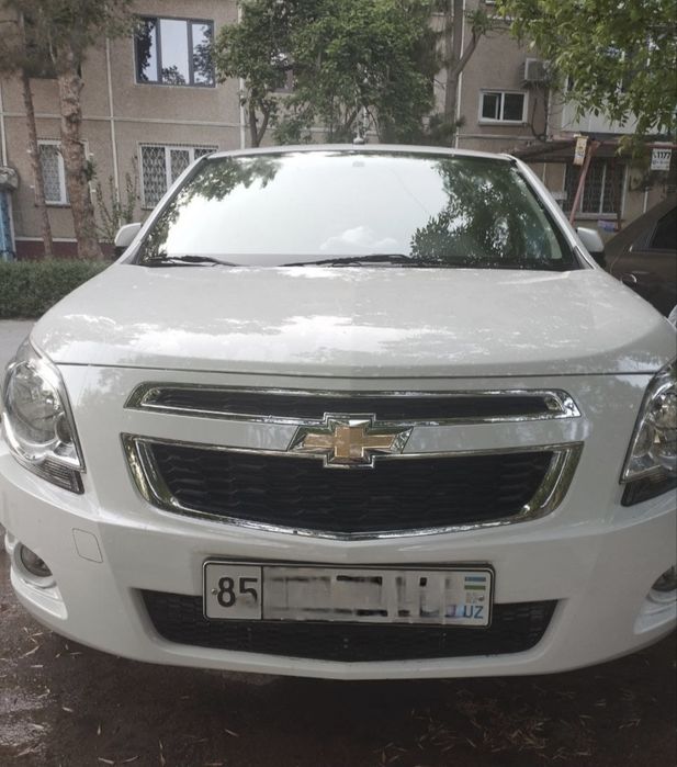 Cobolt 2024, yangi