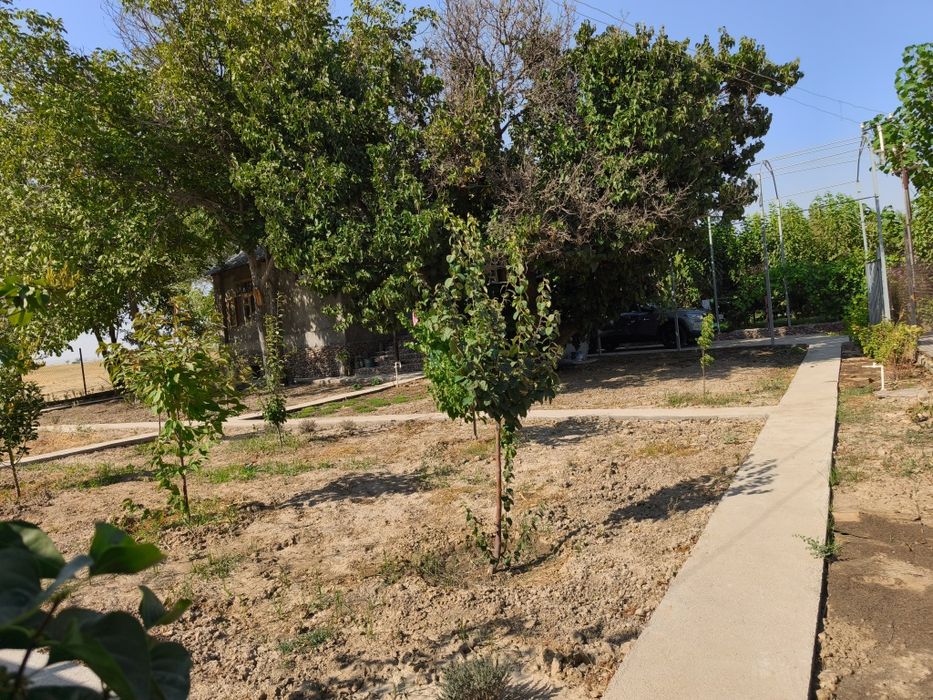 Продается дача в Кангли (Юкори-Чирчикский район)!