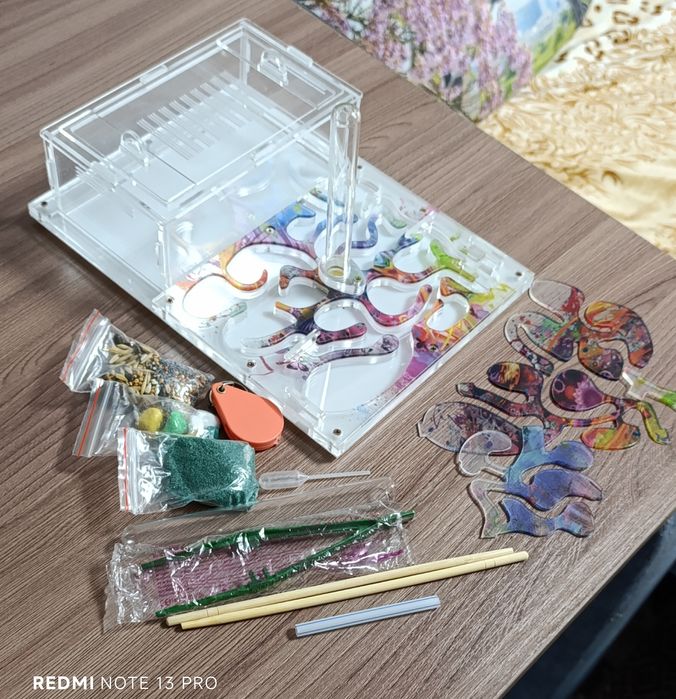 Муравьиная ферма, формикарий