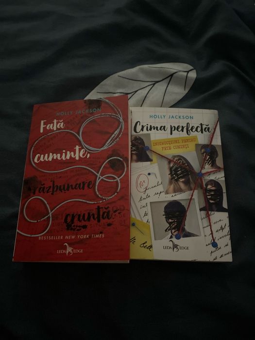 Seria ,,Fată cuminte,razbunare crunta''