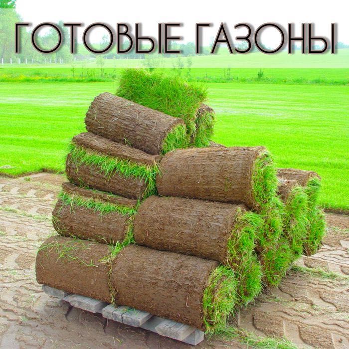 Газоны европейского качества готовый рулоновый + ланшафт