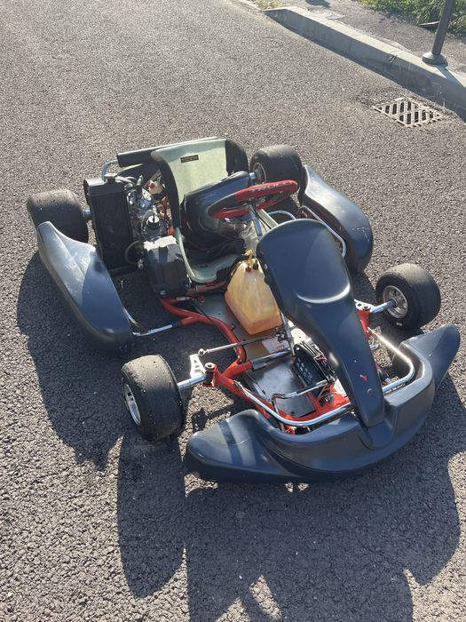 Kart rotax max 125cc de performanta