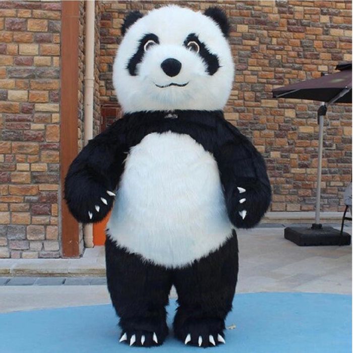 Мишки в аренду тедди