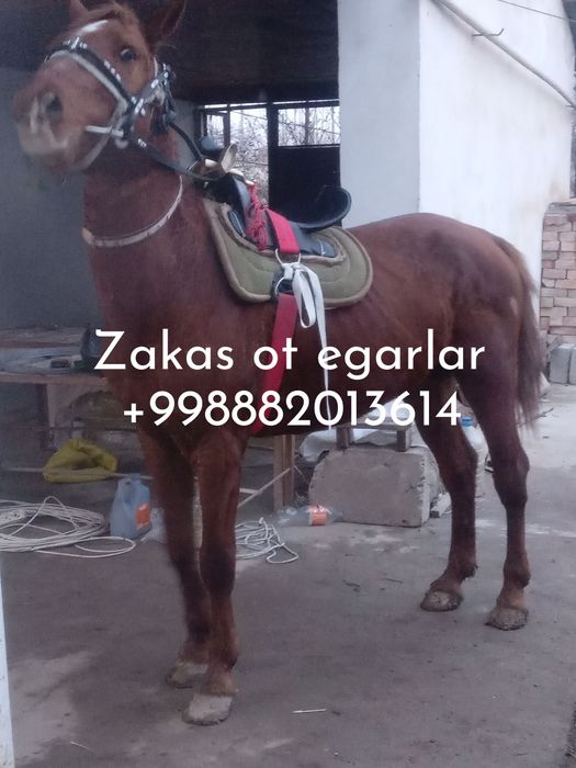 Zakas ot egarlar garantiya bor