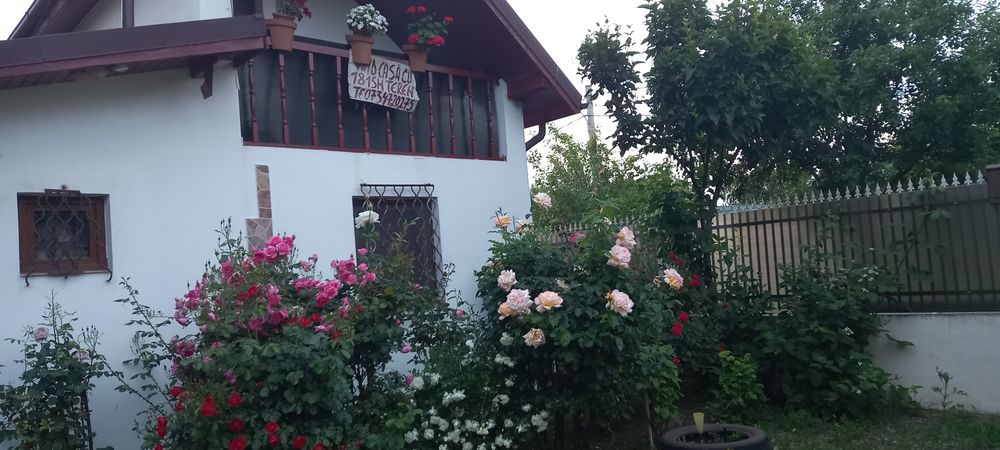 Vind casa si teren in Poenari-Giurgiu
