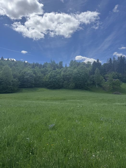 Teren Intravilan Manastirea Humorului 5217 MP