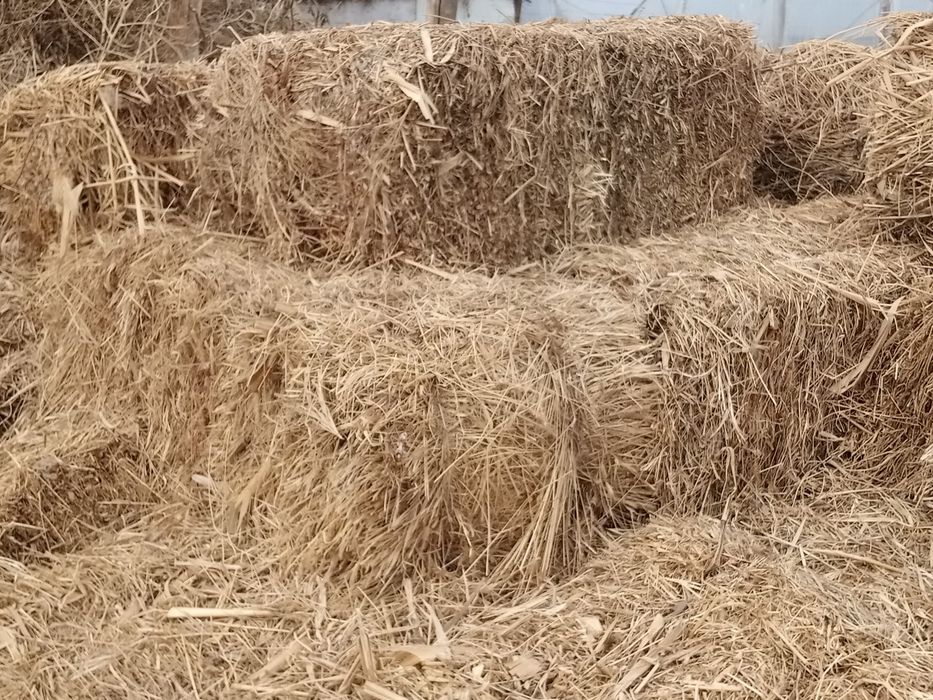 Ot sotiladi aralash hammasidan