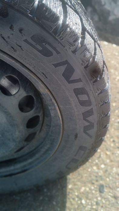 175.65.R14 baloney zimni